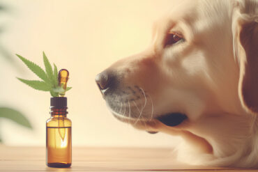 Fleur de Bach pour Animaux « Adoption »